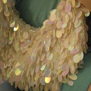 Hobo iridescent purse